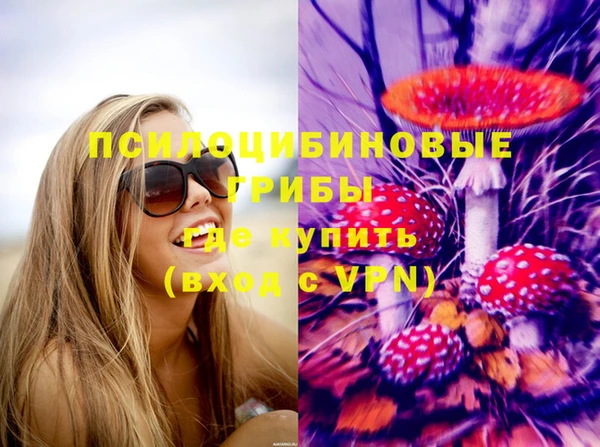 бошки Верхнеуральск