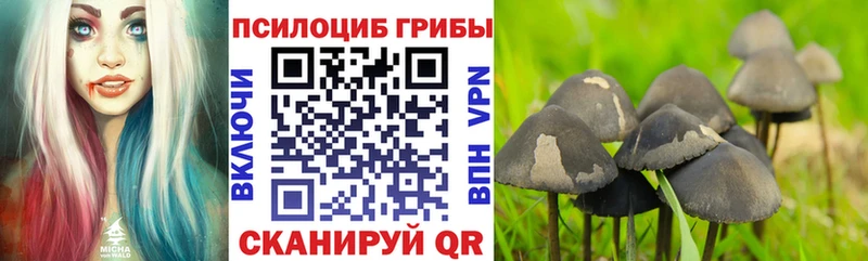 Псилоцибиновые грибы ЛСД  Калининск 